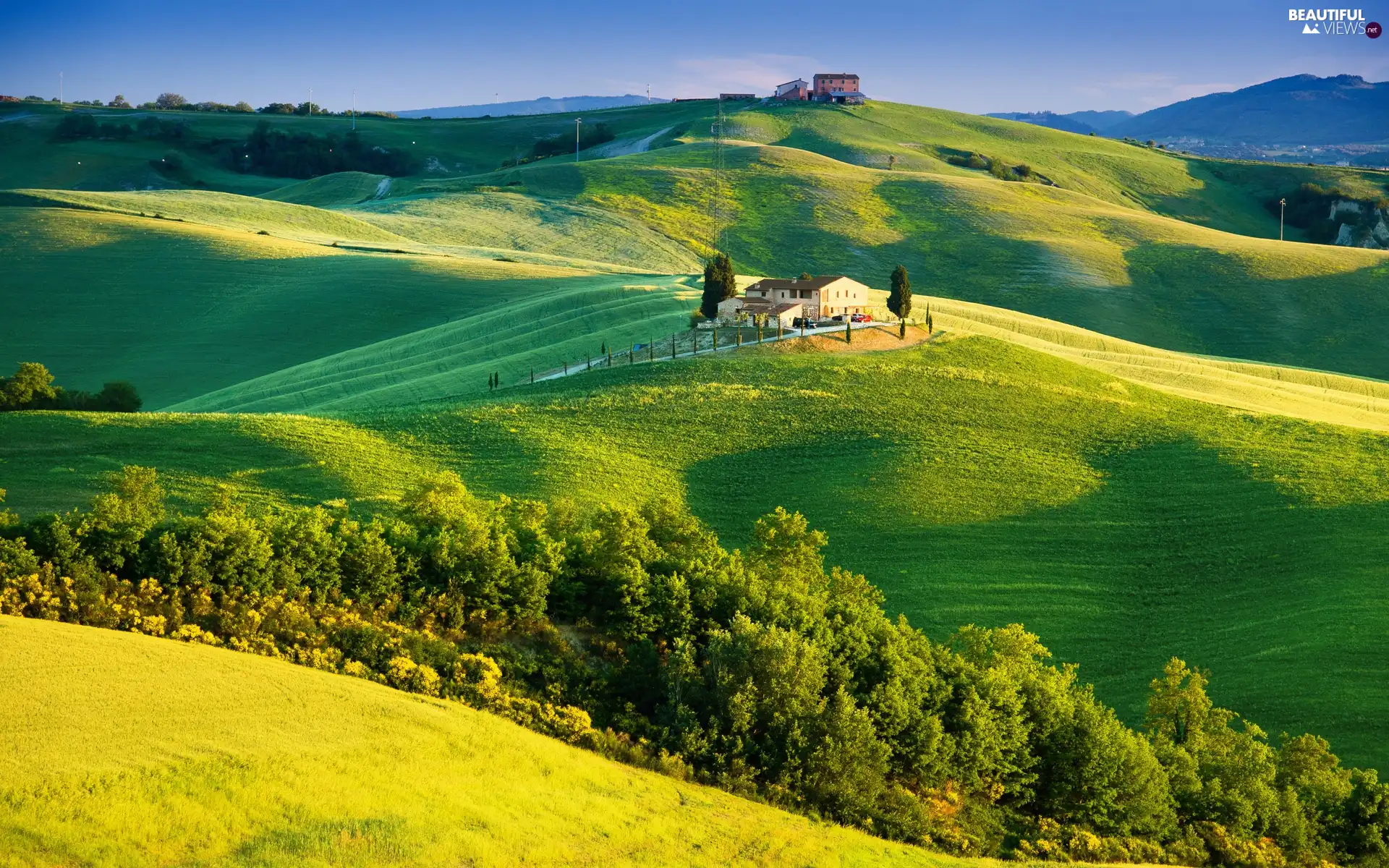 trees, viewes, Italy, Mountains, country, Houses, medows, Tuscany