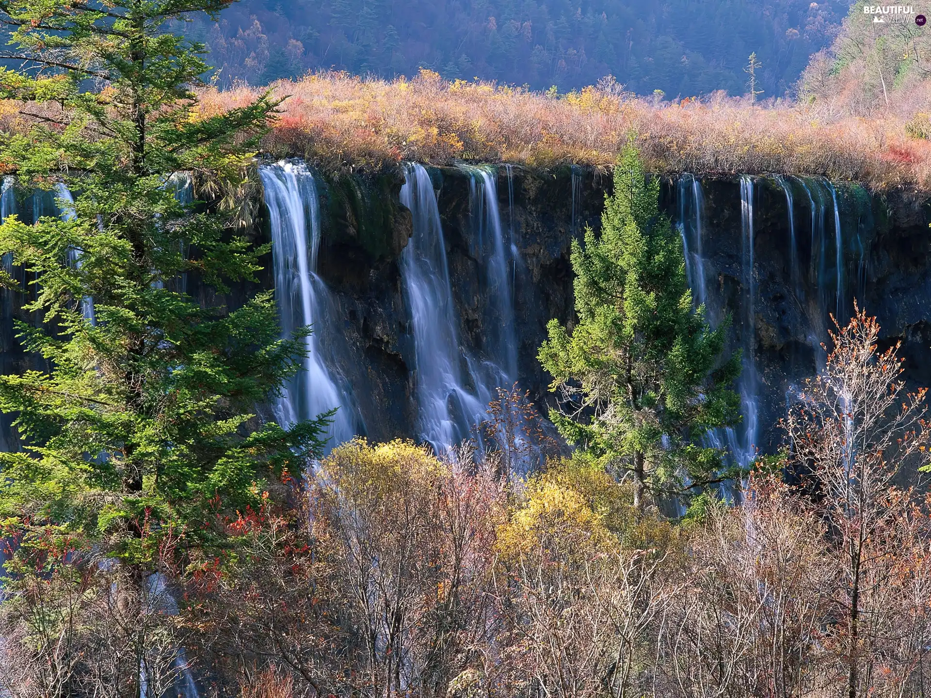 viewes, waterfall, trees