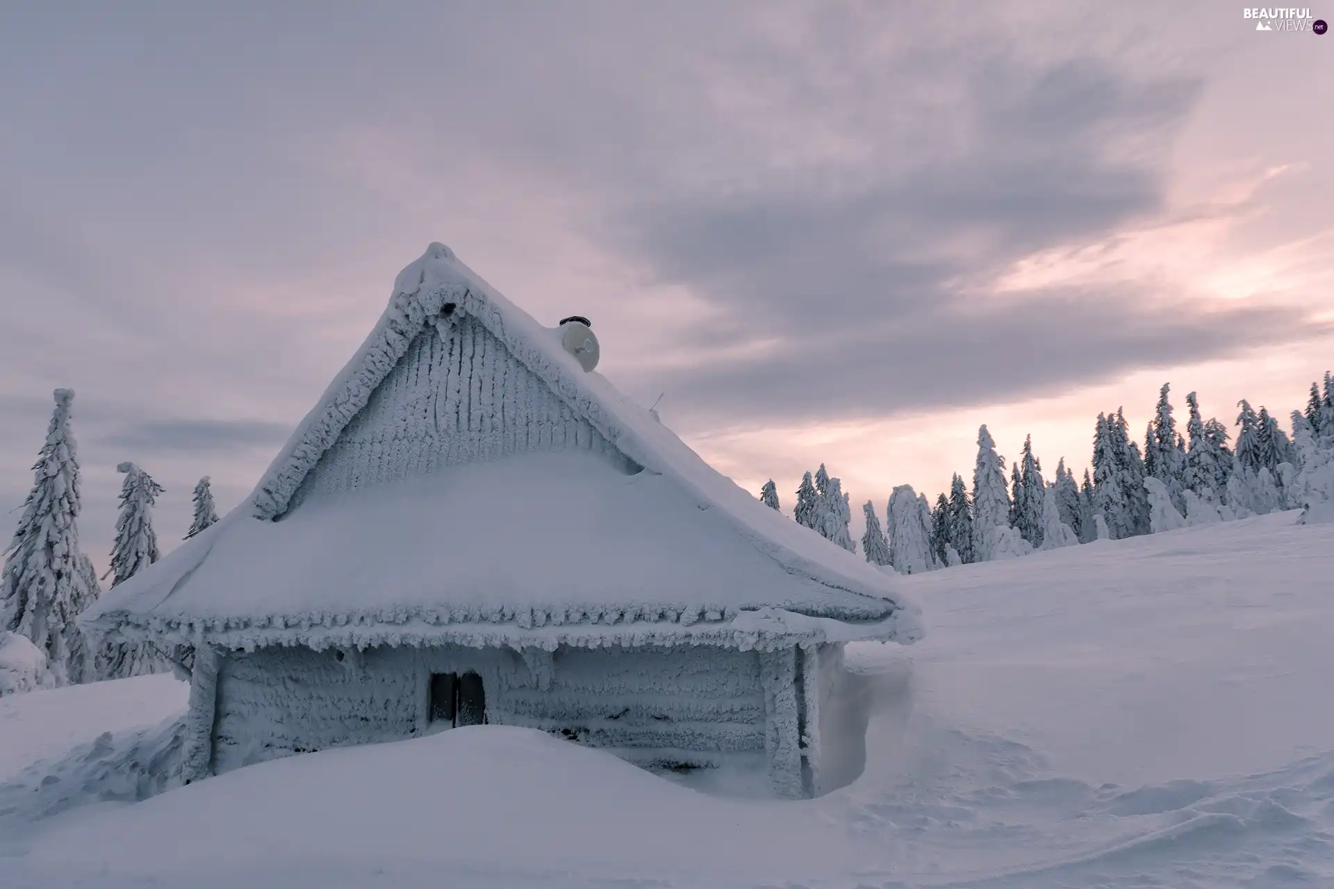 house, winter, trees, viewes, White frost, snowy