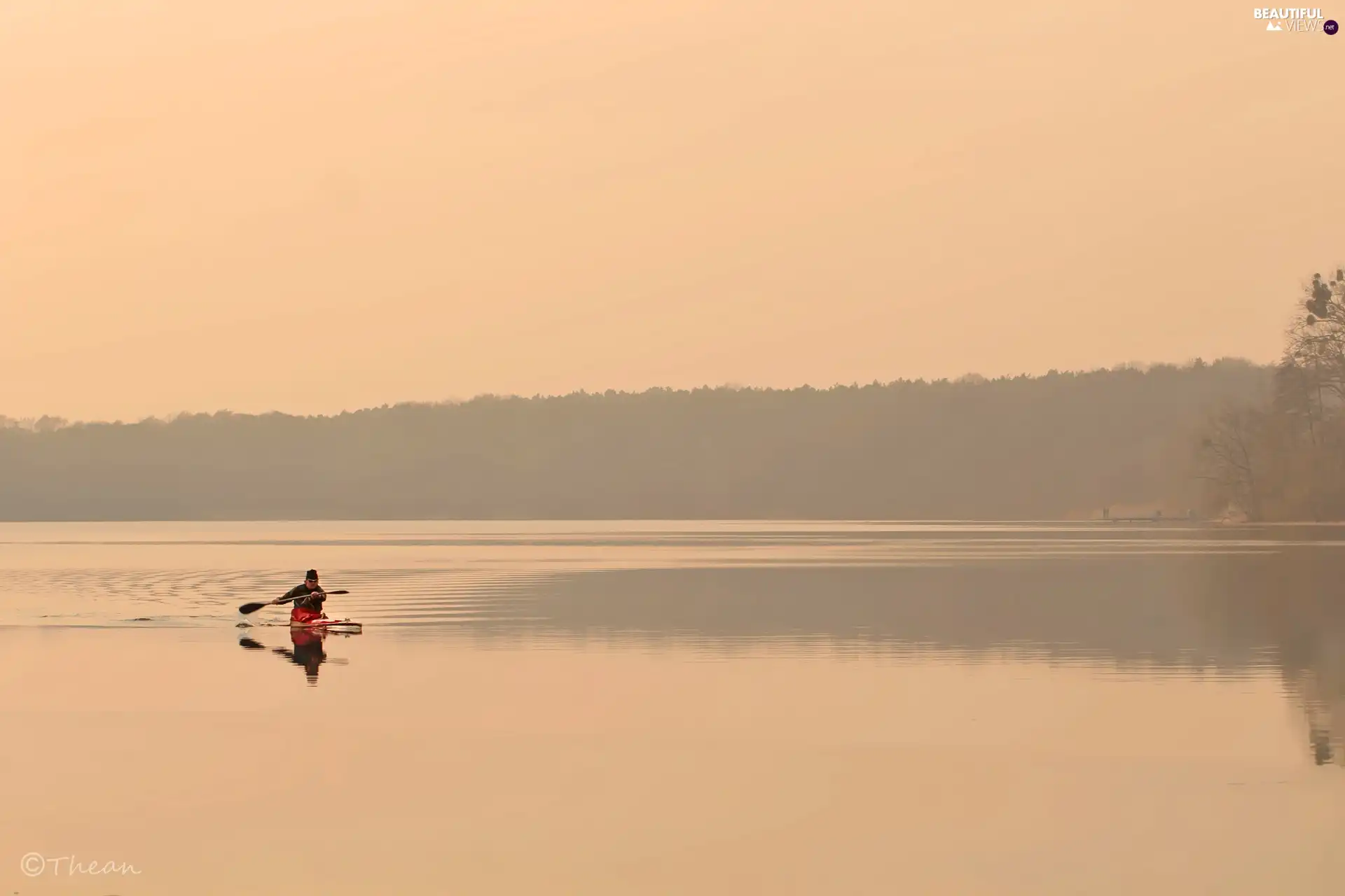 viewes, twilight, lake, trees, canoeist