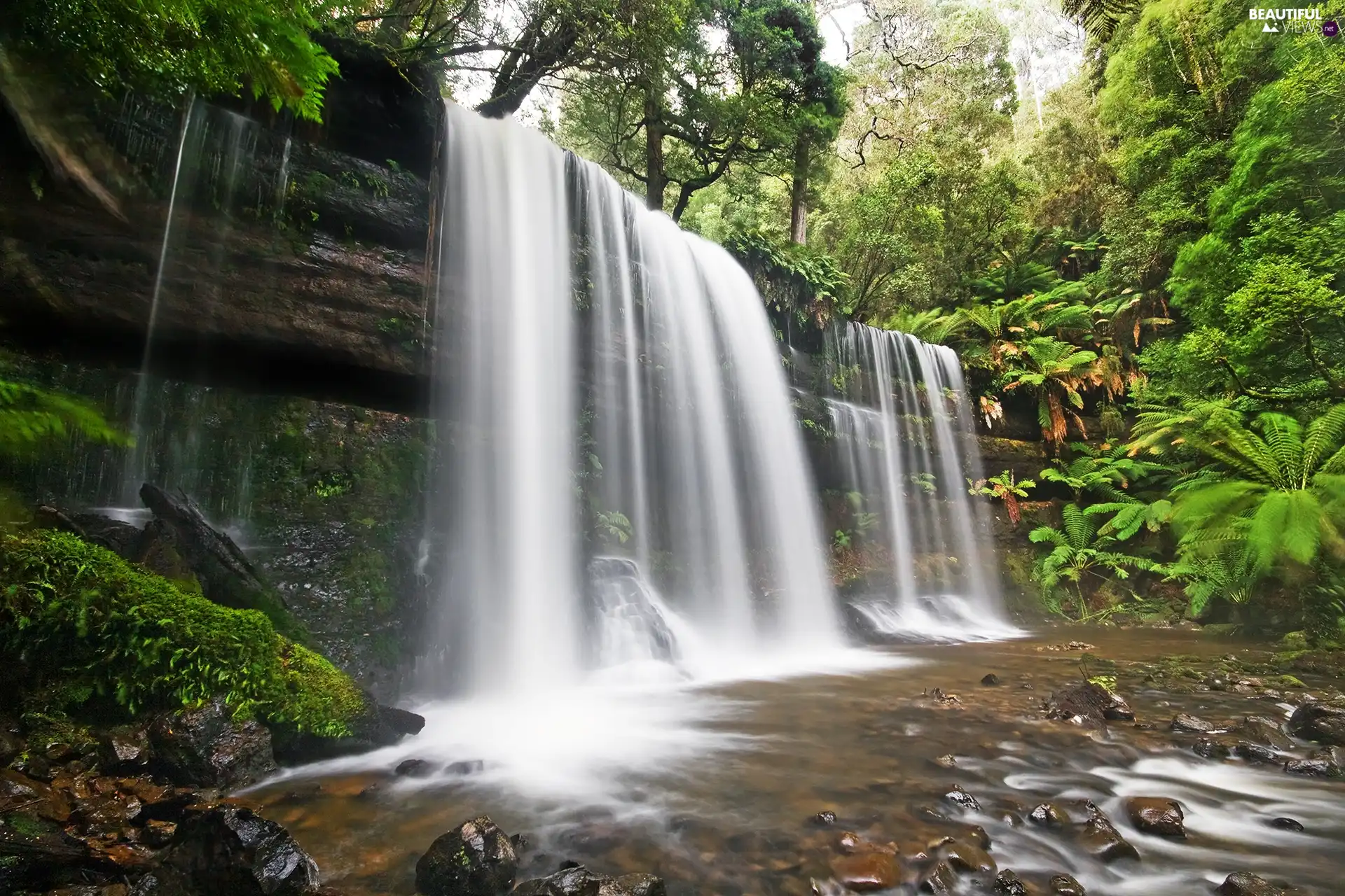 waterfall, trees, viewes, River