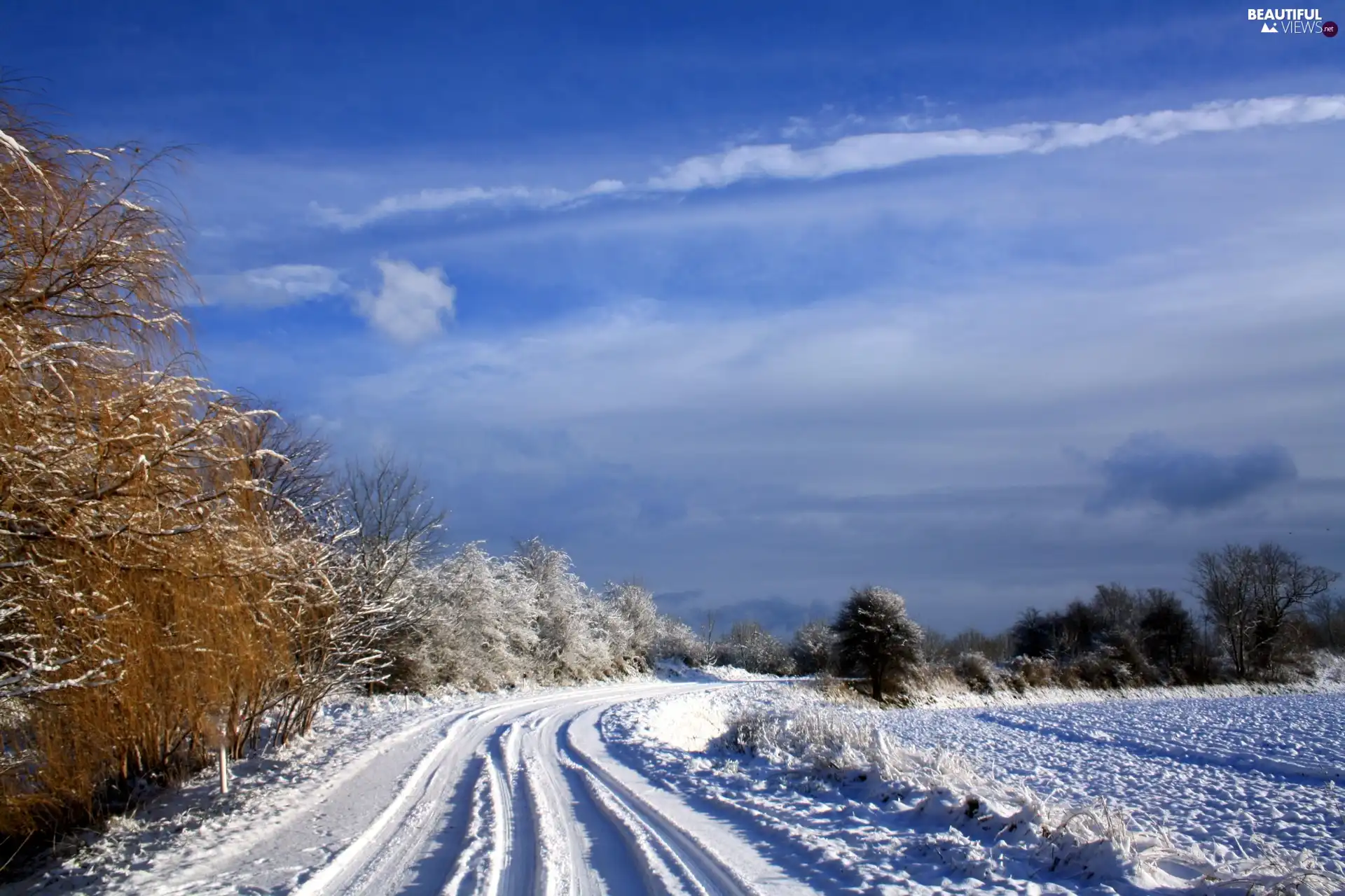 viewes, winter, Way, trees, Field