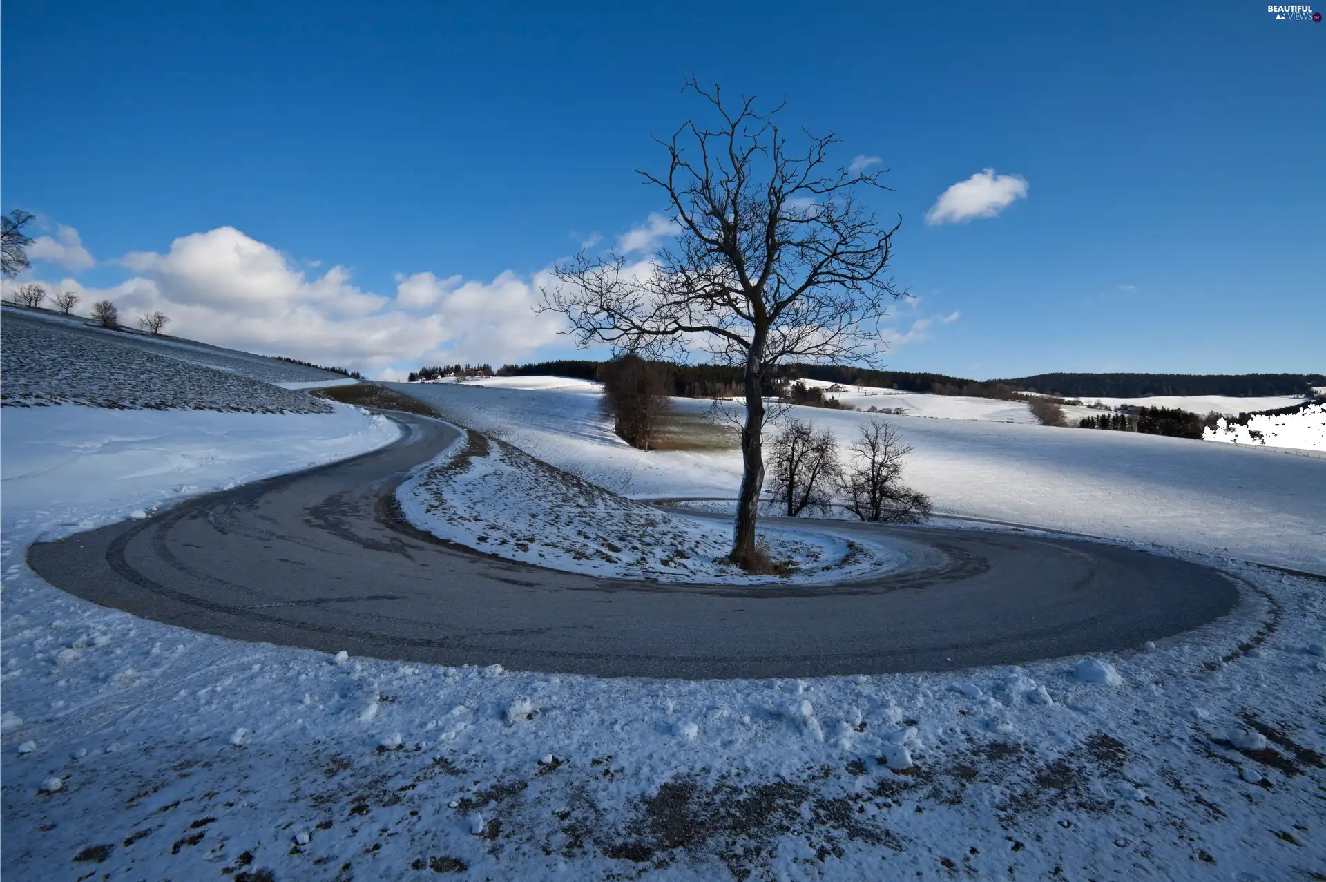 viewes, winter, Way, trees, field