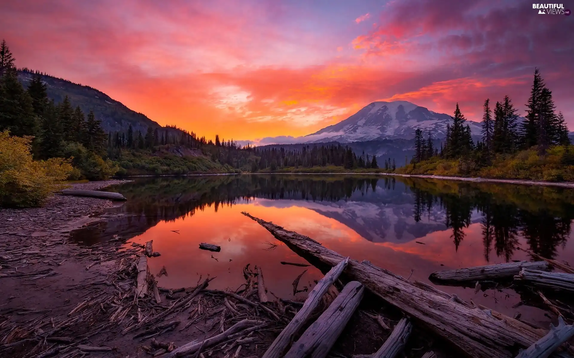 mountains, The United States, lake, Stratovolcano Mount Rainier, trees, Great Sunsets, Logs, Mount Rainier National Park, Washington, viewes, woods