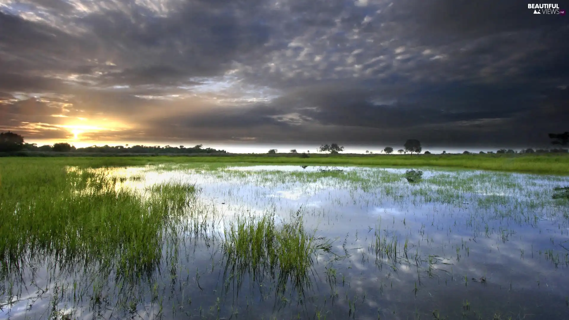 dark, west, water, cane, clouds, sun