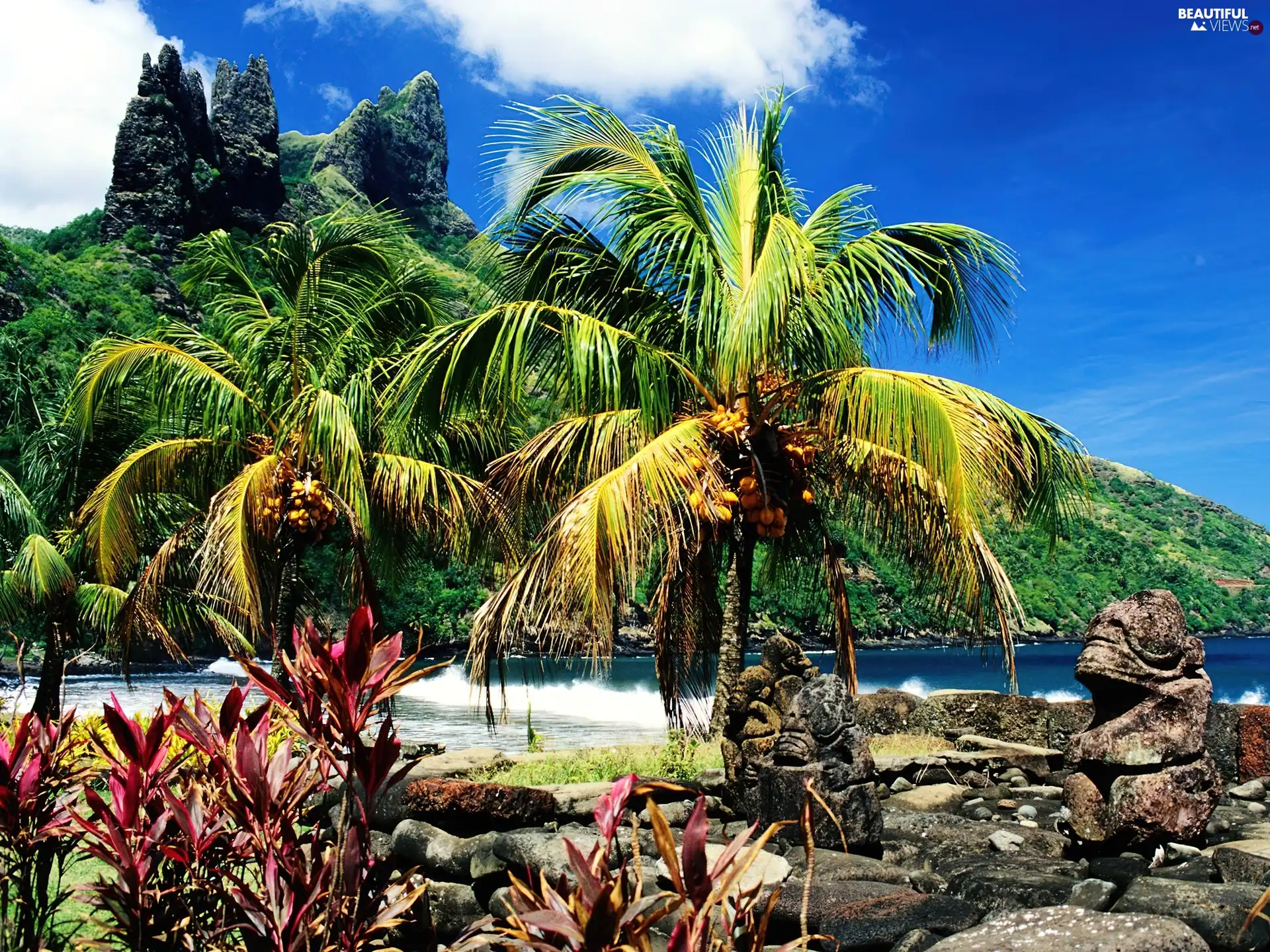 Palms, Mountains, water, VEGETATION