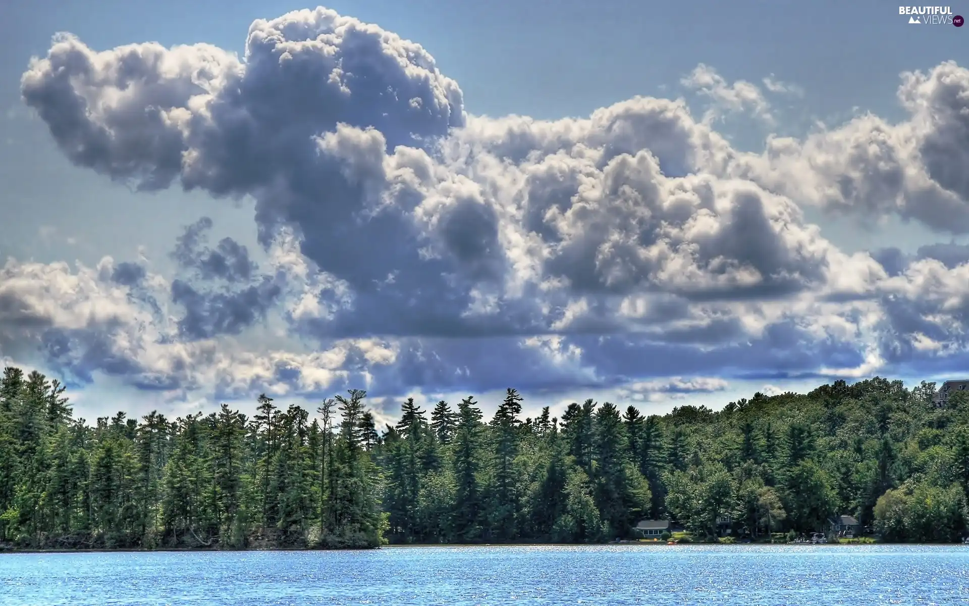 puffs, forest, water, clouds