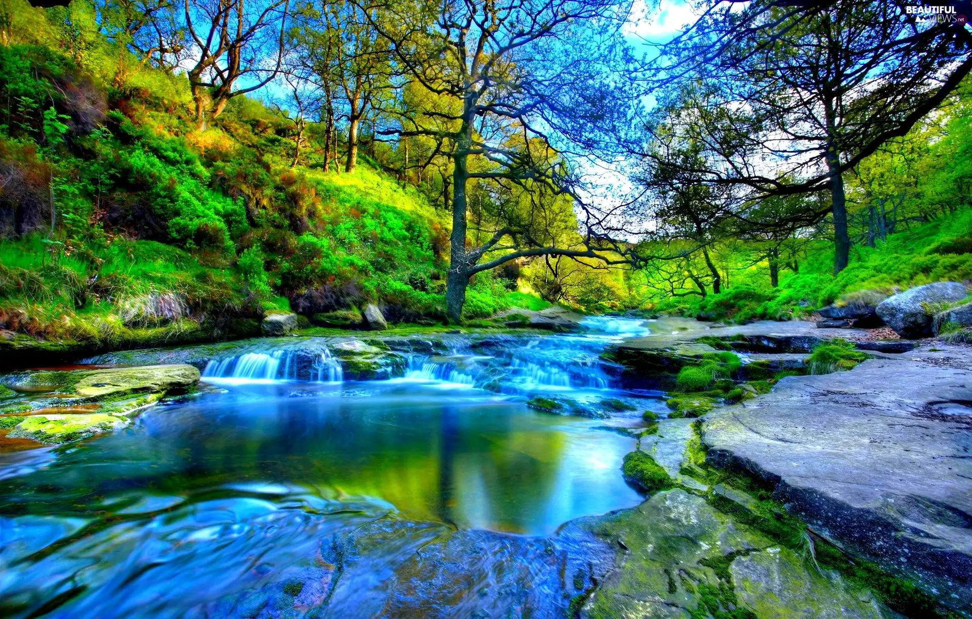 water, Stones rocks, viewes, Cascades, trees