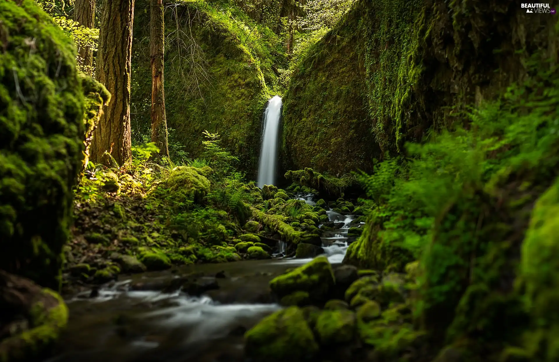 waterfall, forest, green