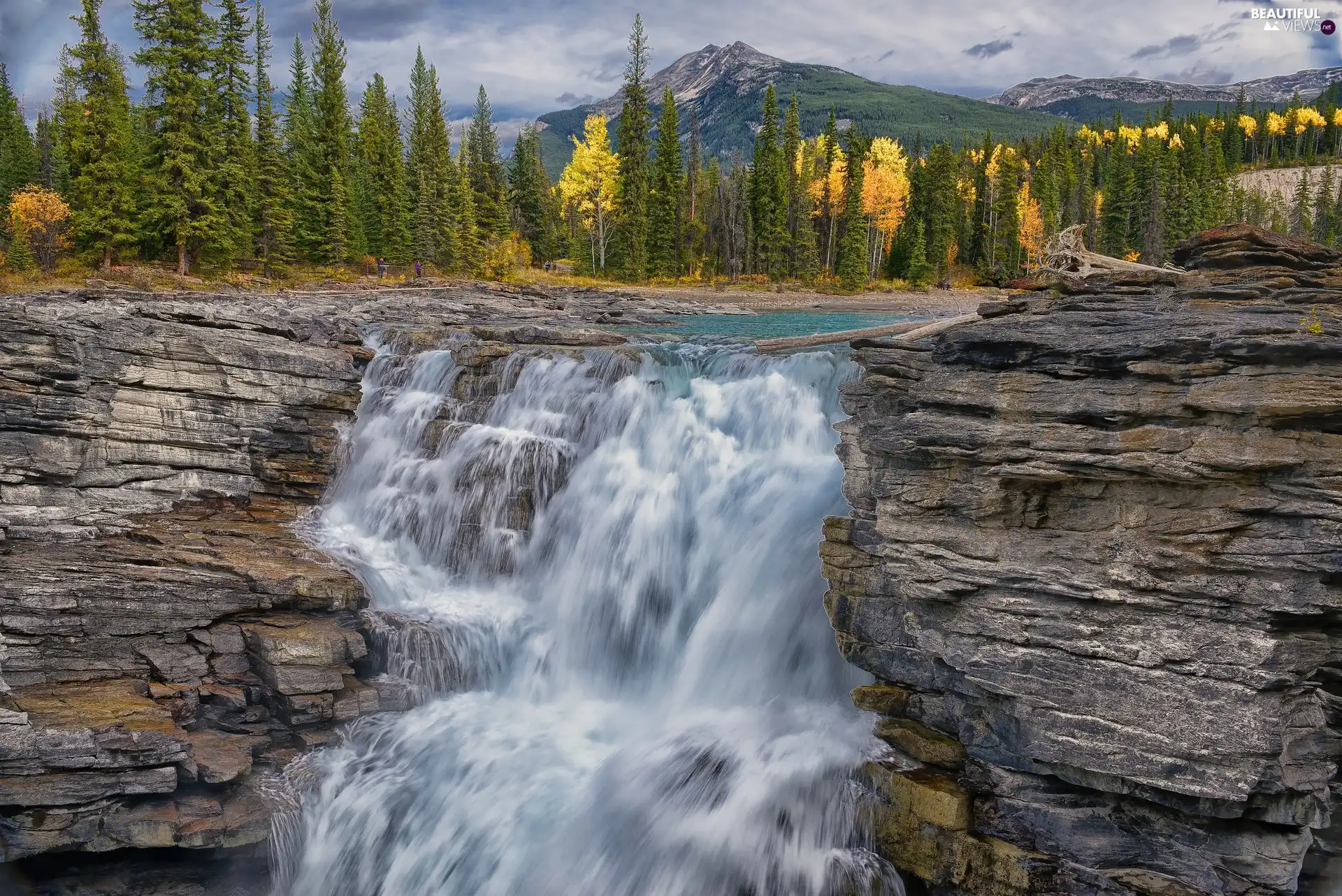 Mountains, rocks, waterfall, woods