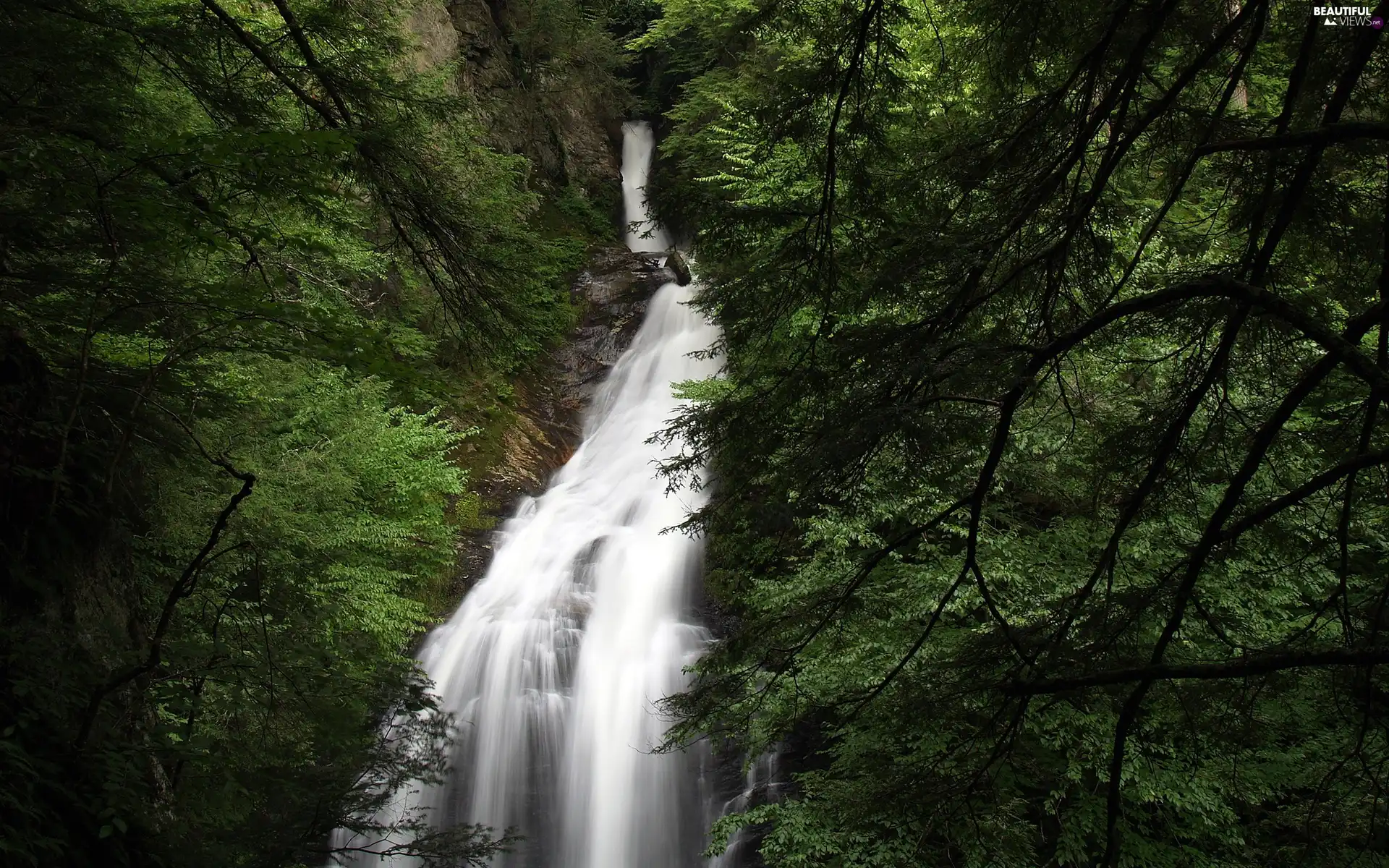 trees, green, waterfall, viewes