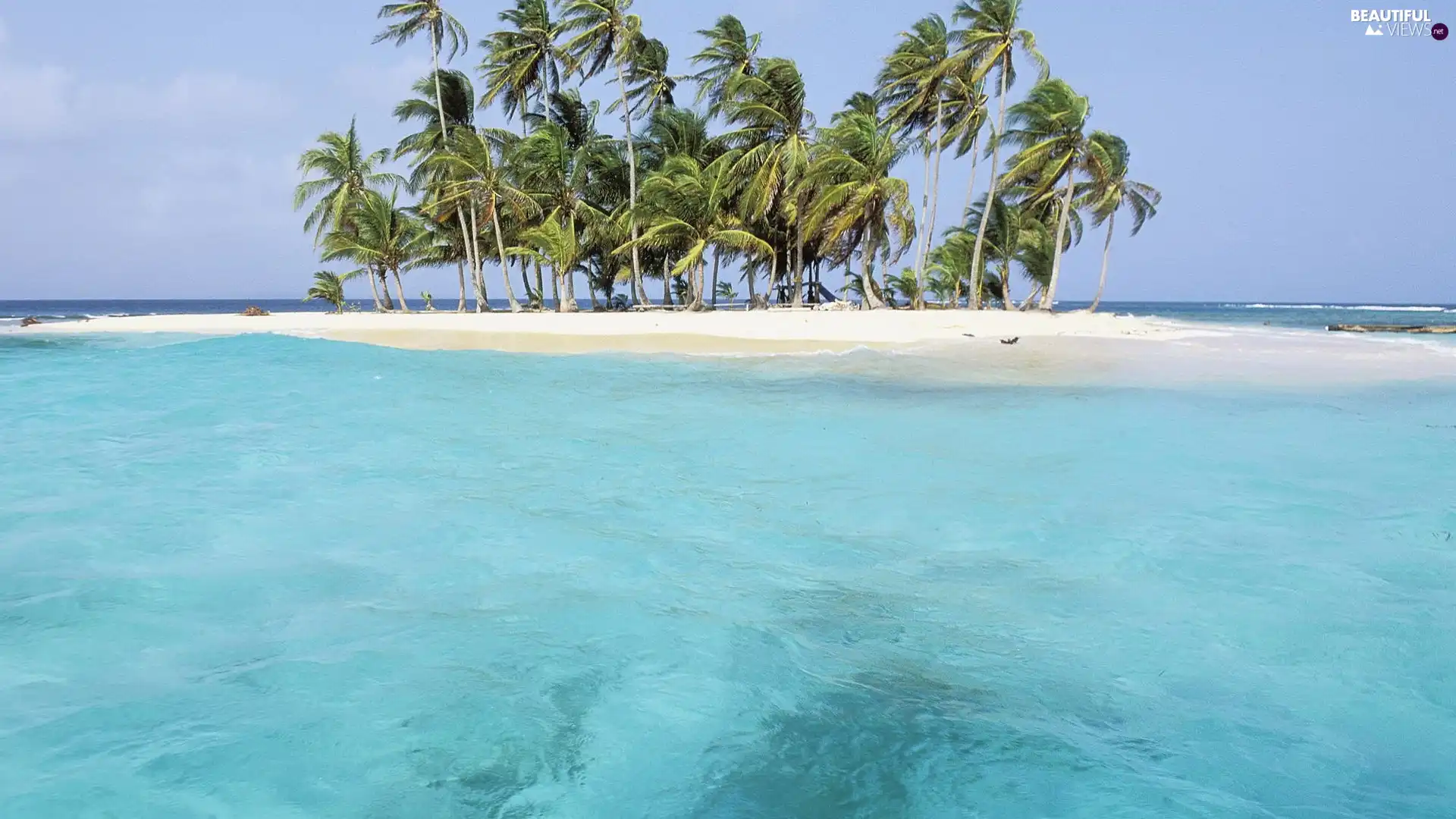 Island, sea, Waves, Palms