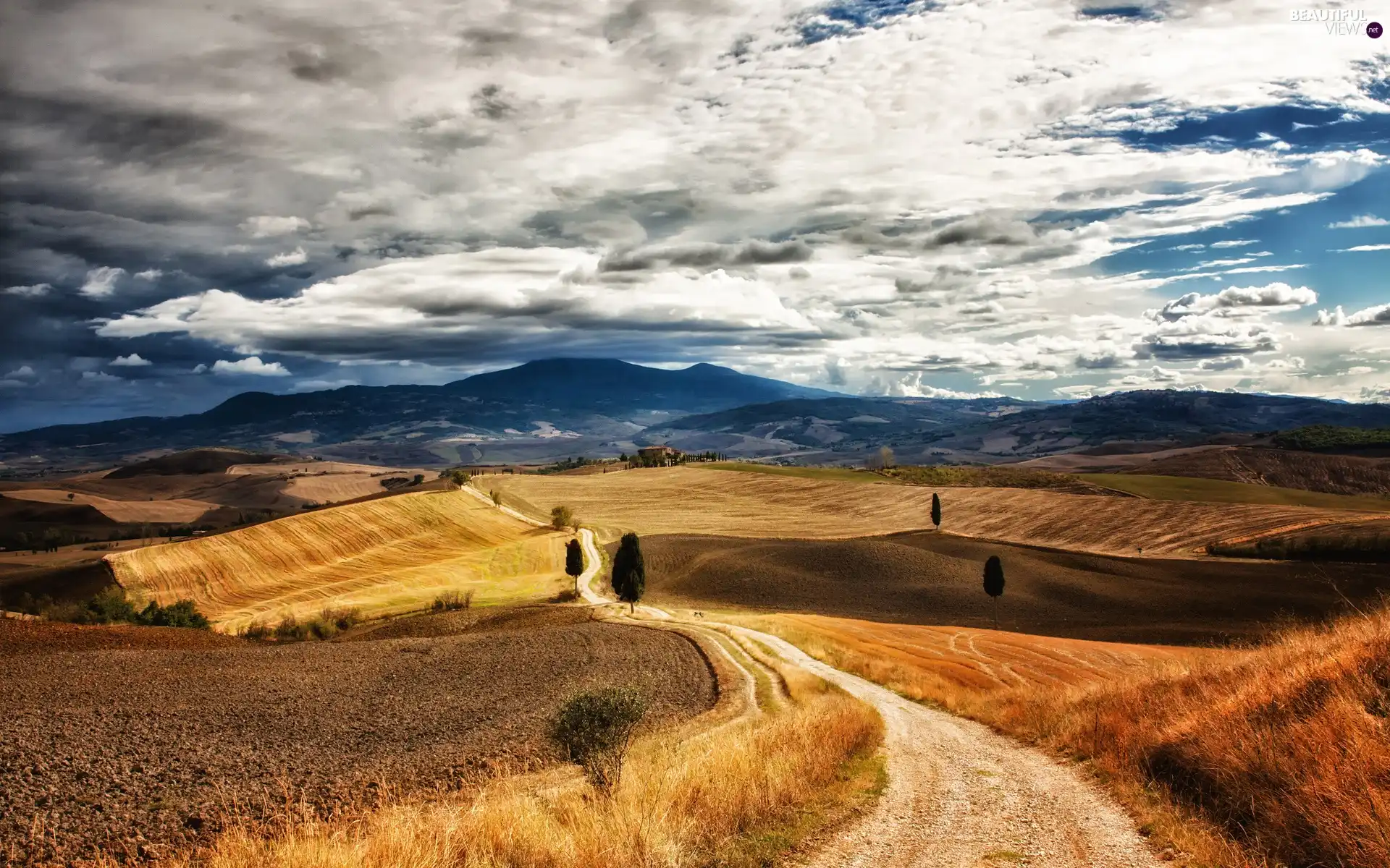 trees, Mountains, Way, autumn, viewes, field