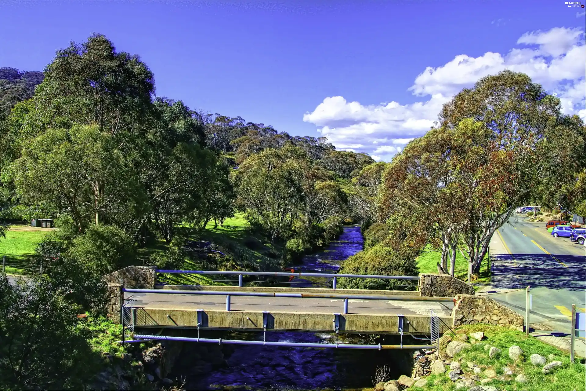 trees, brook, Way, cars, viewes, bridge