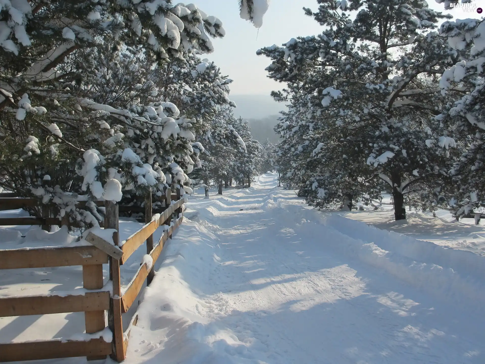 viewes, winter, Way, drifts, fence, trees