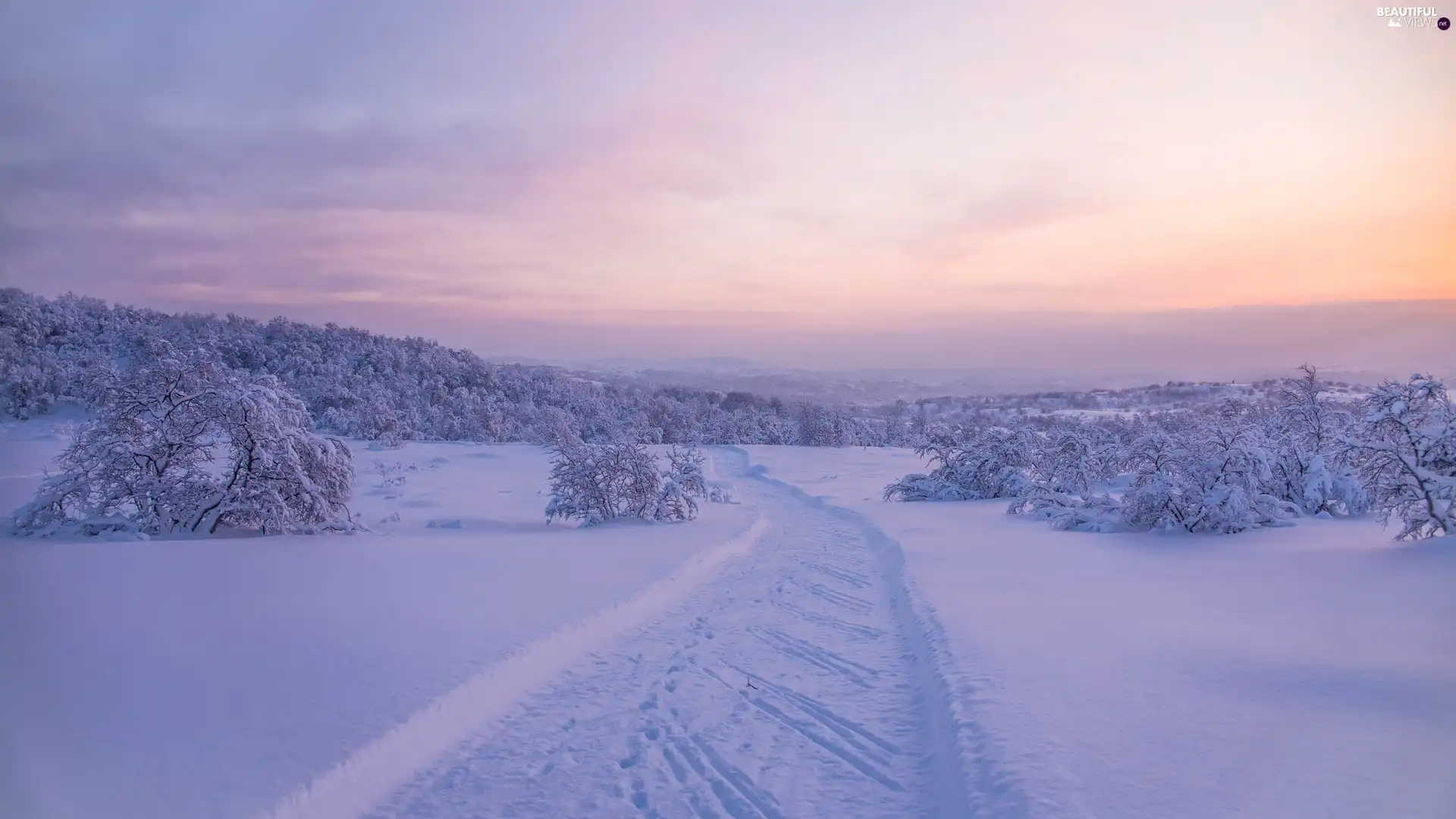 trees, Mountains, winter, Snowy, The Hills, viewes, Way