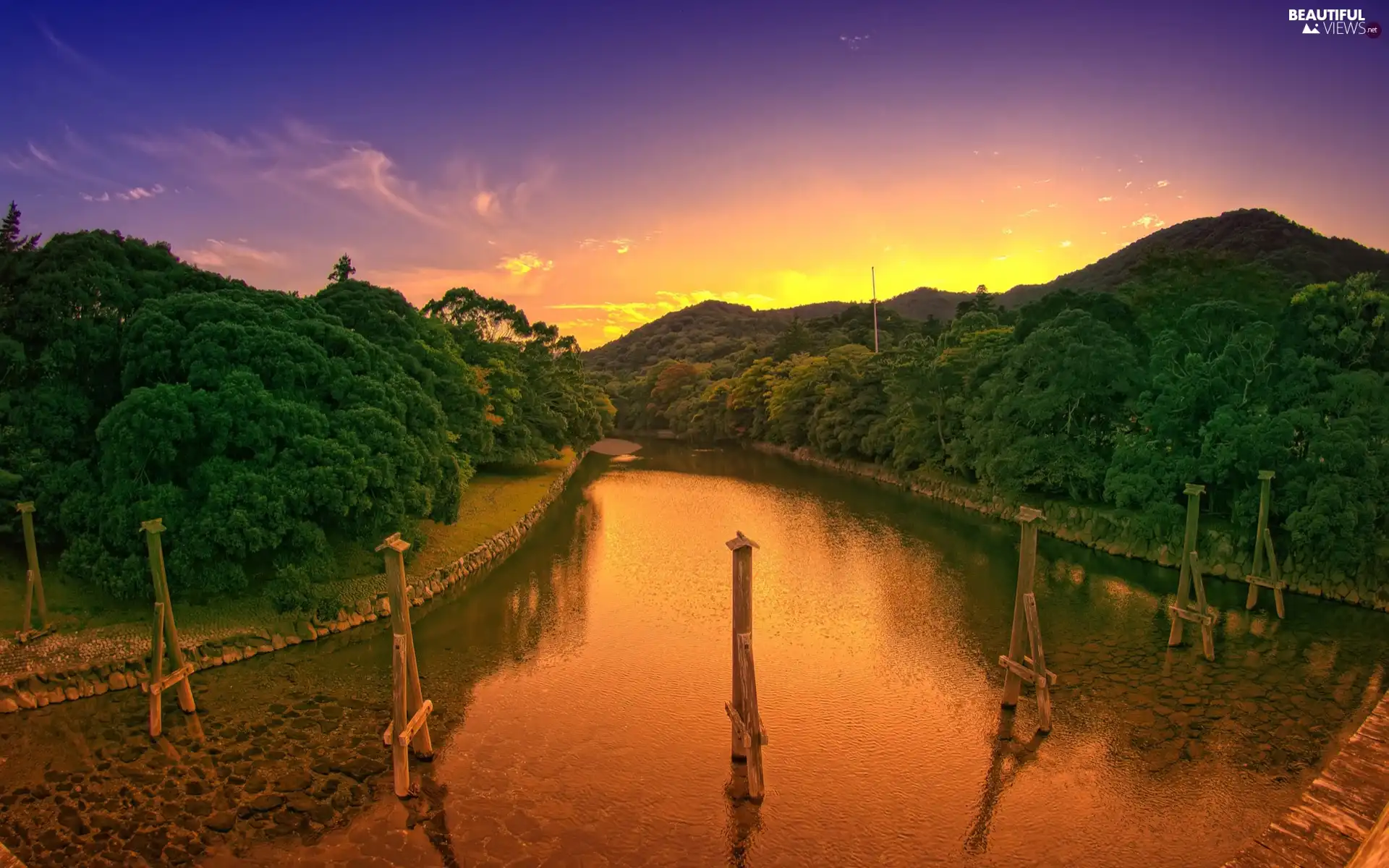 viewes, River, west, sun, Sky, trees