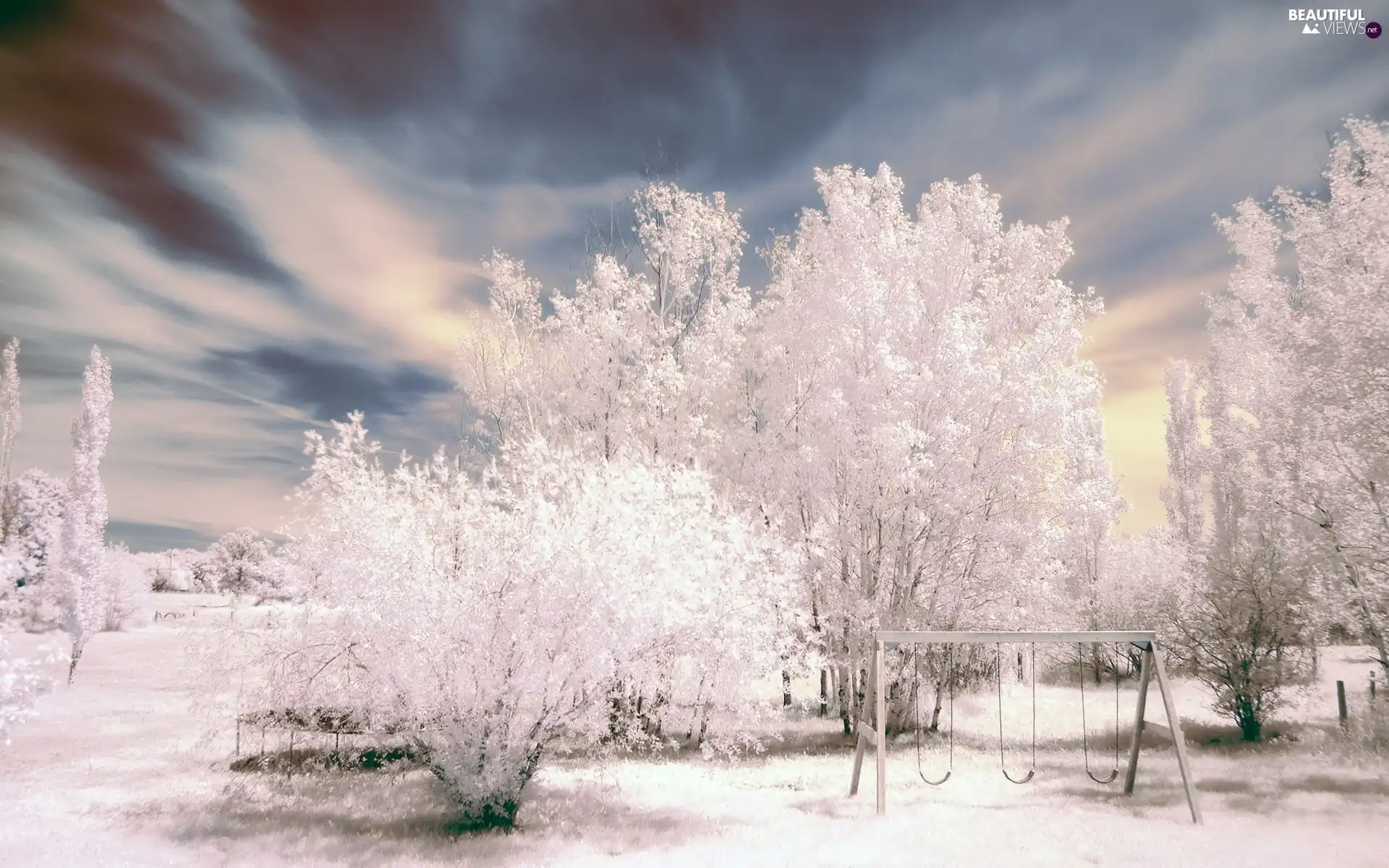 Winter, Aura, trees, viewes, snow