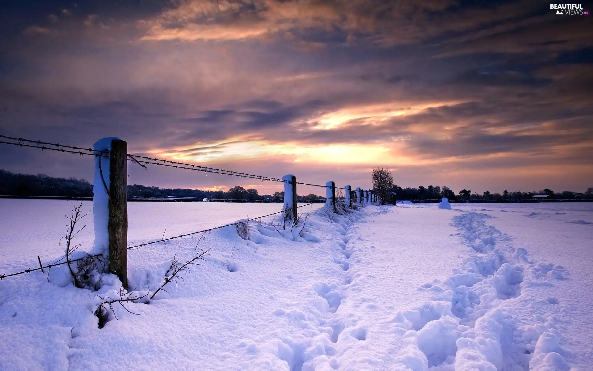 field, clouds, winter, fence