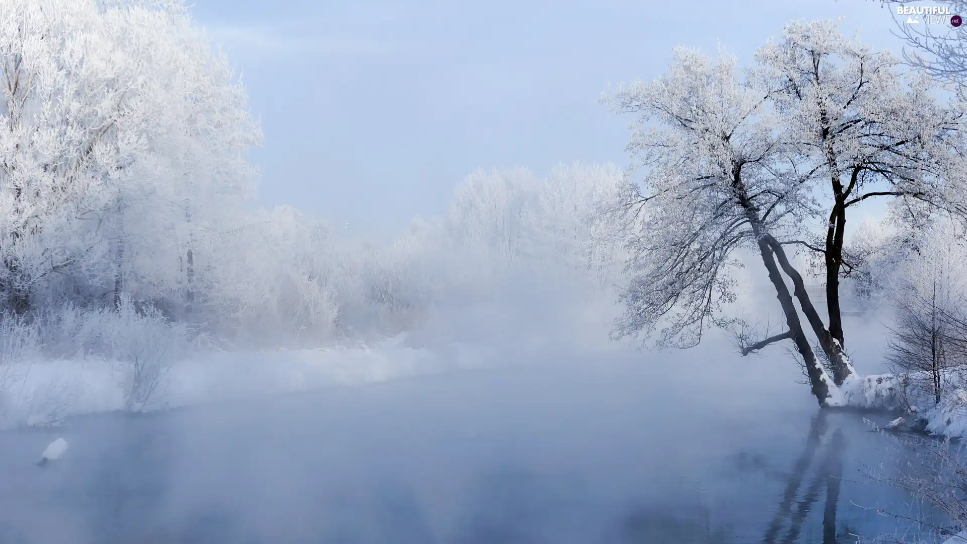 Snowy, River, viewes, winter, trees, Fog