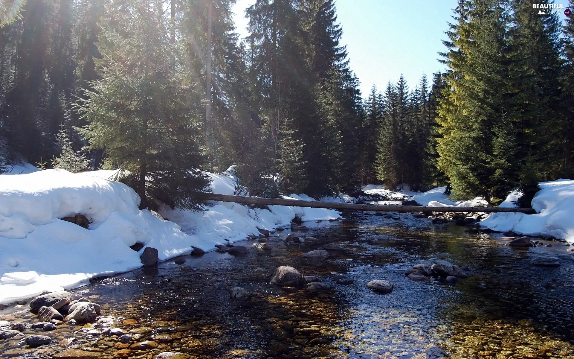 winter, River, forest