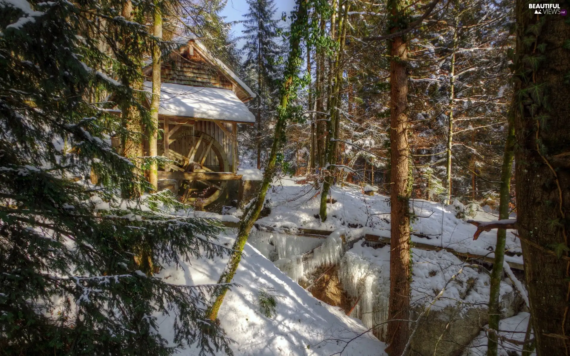 winter, Watermill, forest