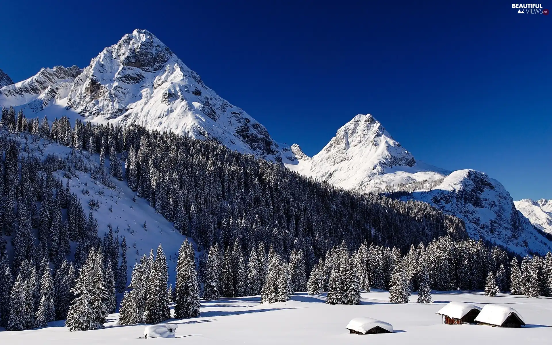 Houses, forest, winter, Mountains