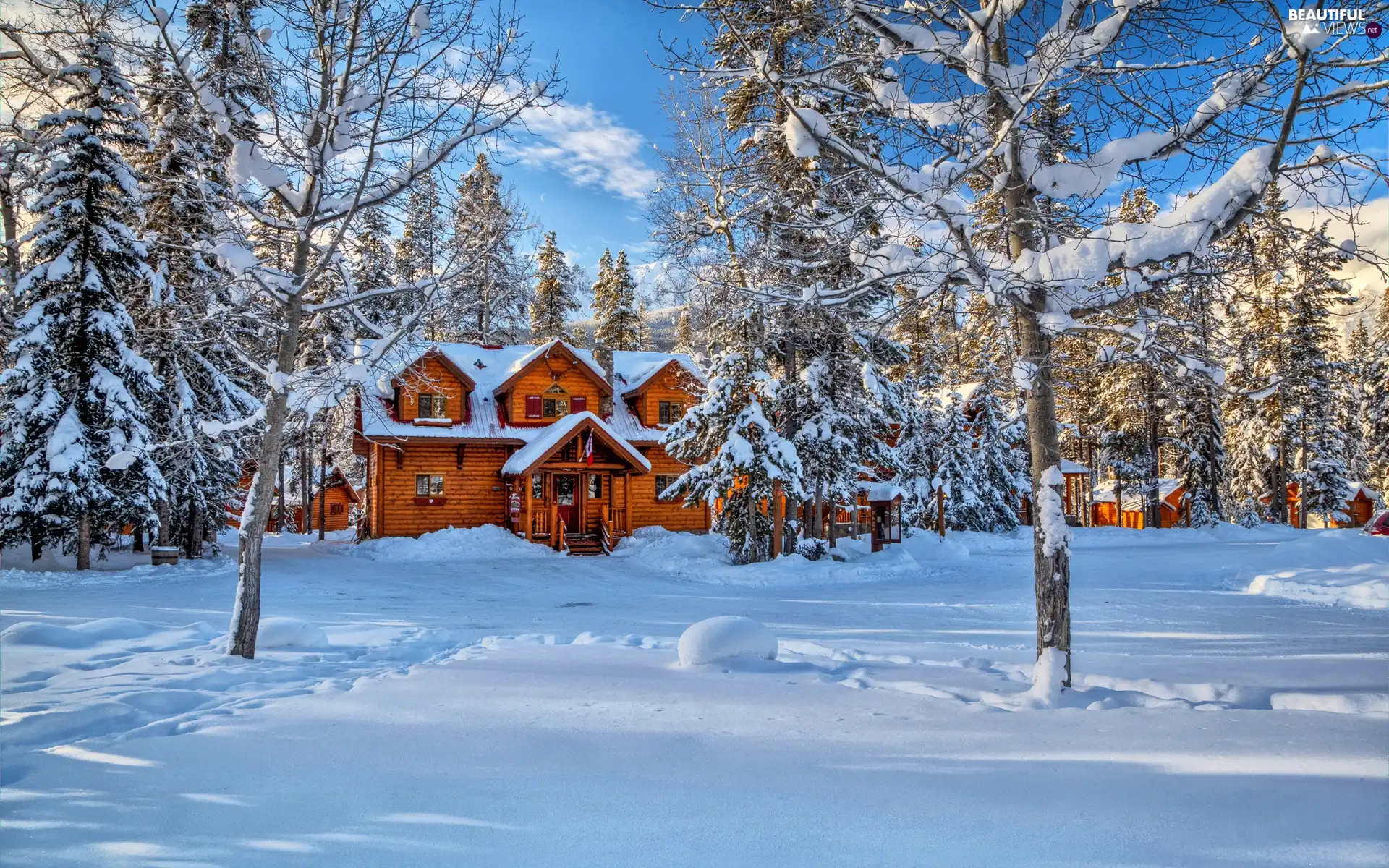 Houses, Mountains, winter, forest