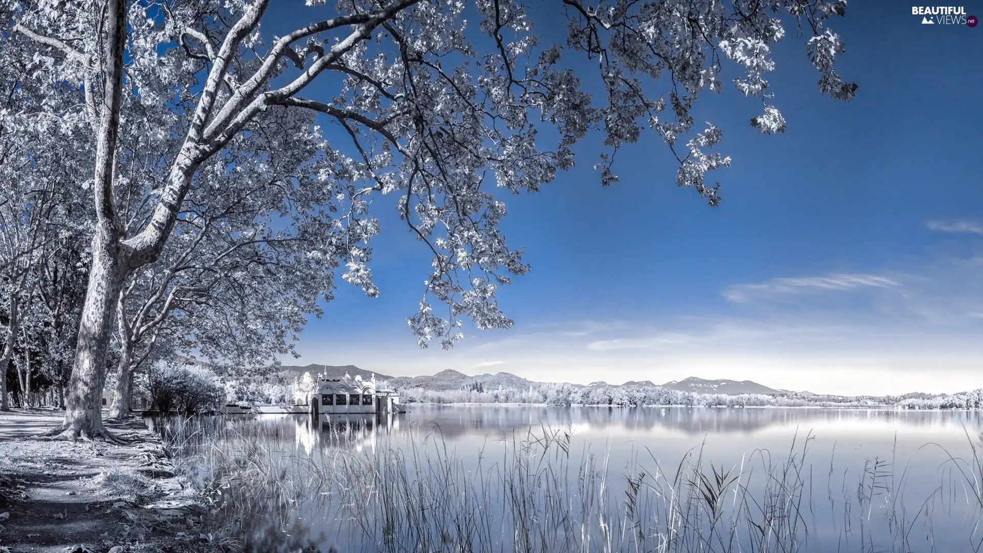 lake, viewes, winter, trees