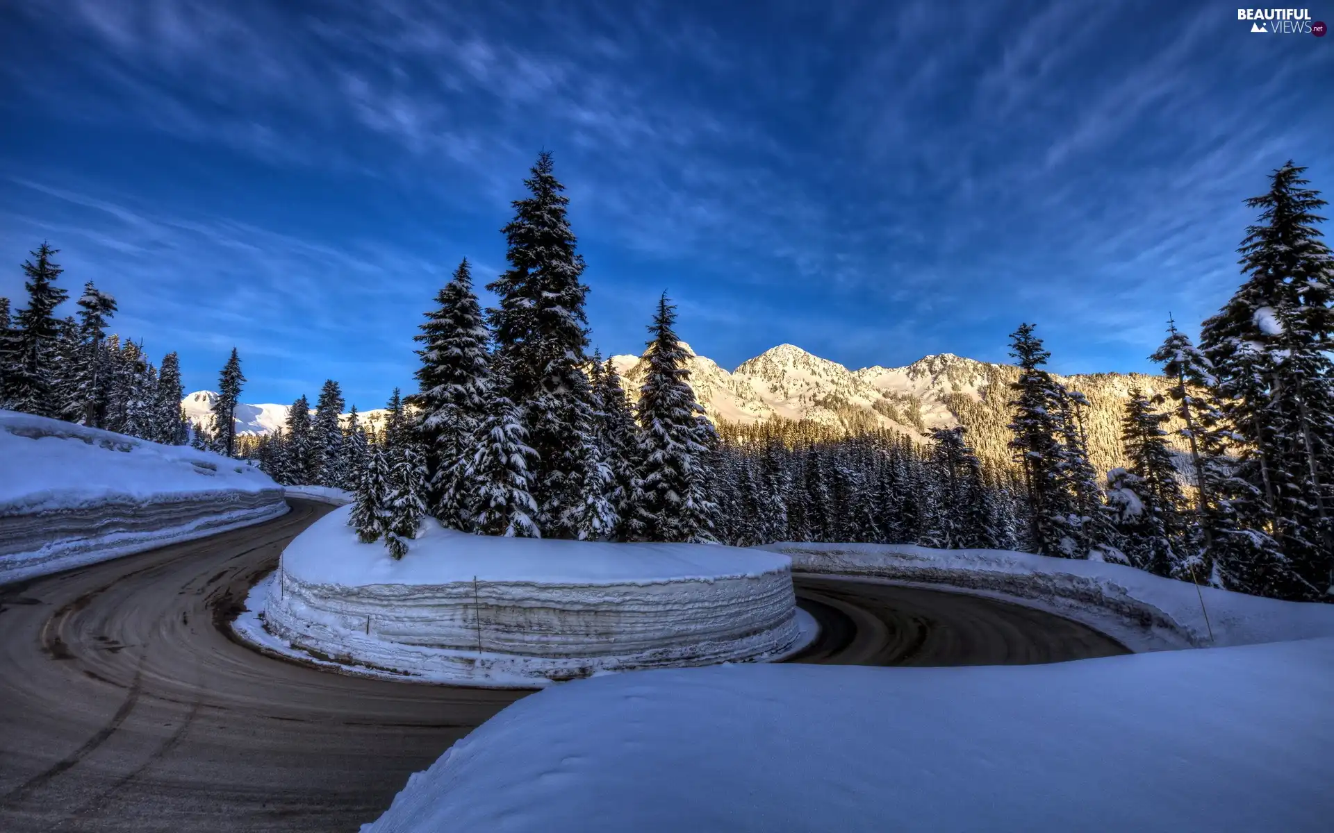 Mountains, snow, winter, forest