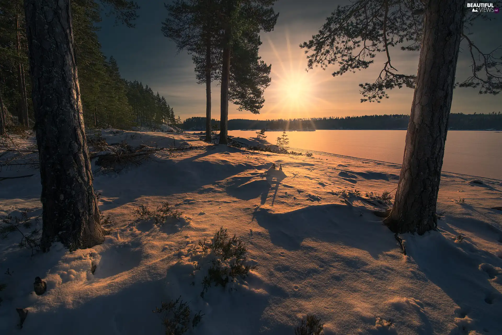 viewes, lake, Norway, snow, Ringerike, trees, winter, rays of the Sun