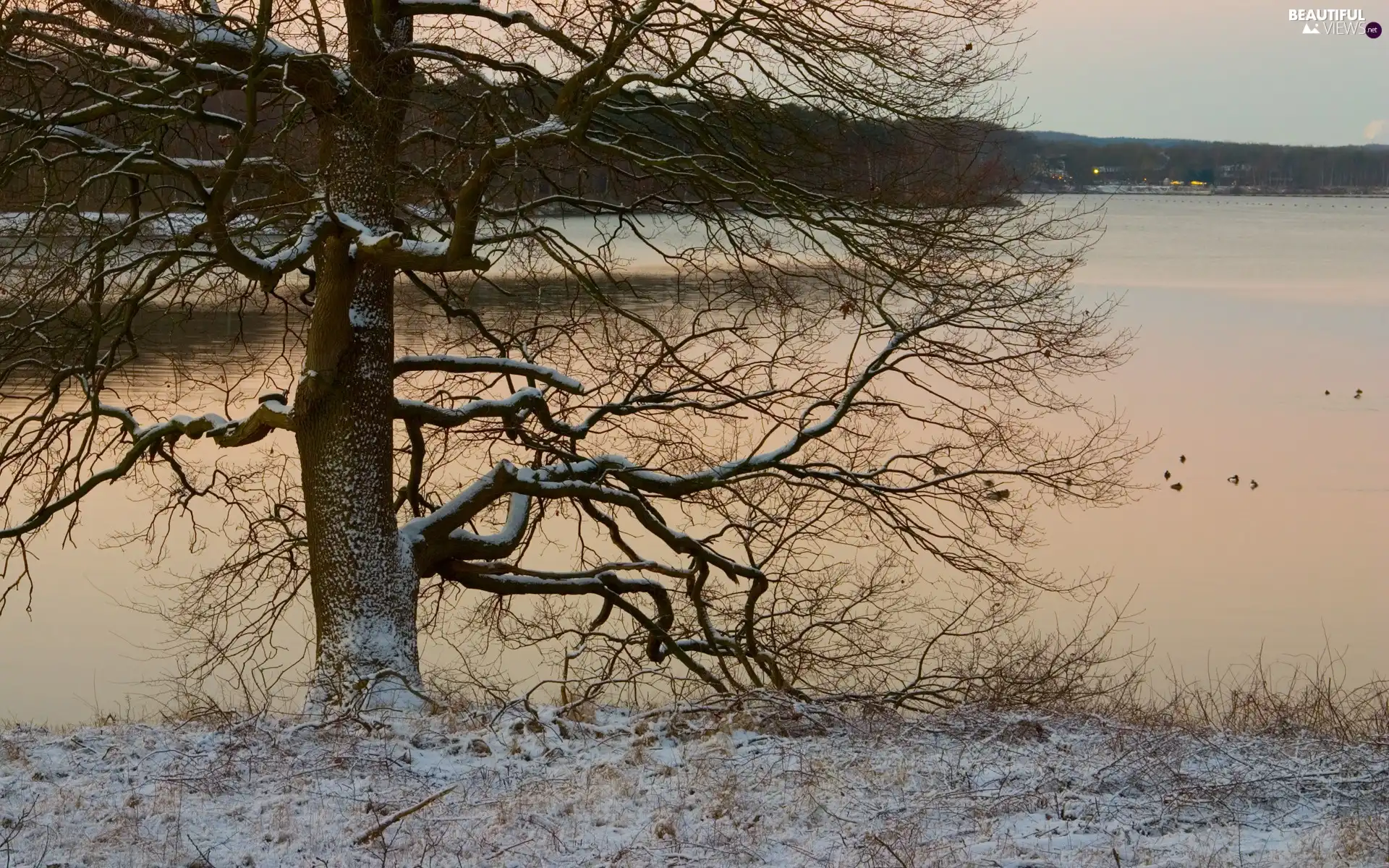 River, Mountains, winter, trees