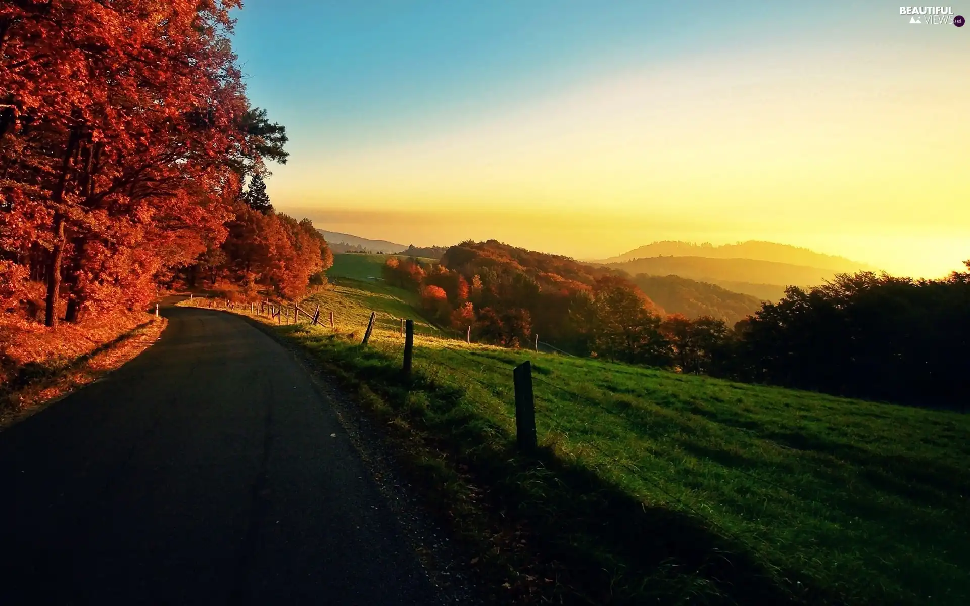 wood, Way, trees, viewes, stakes, The Hills