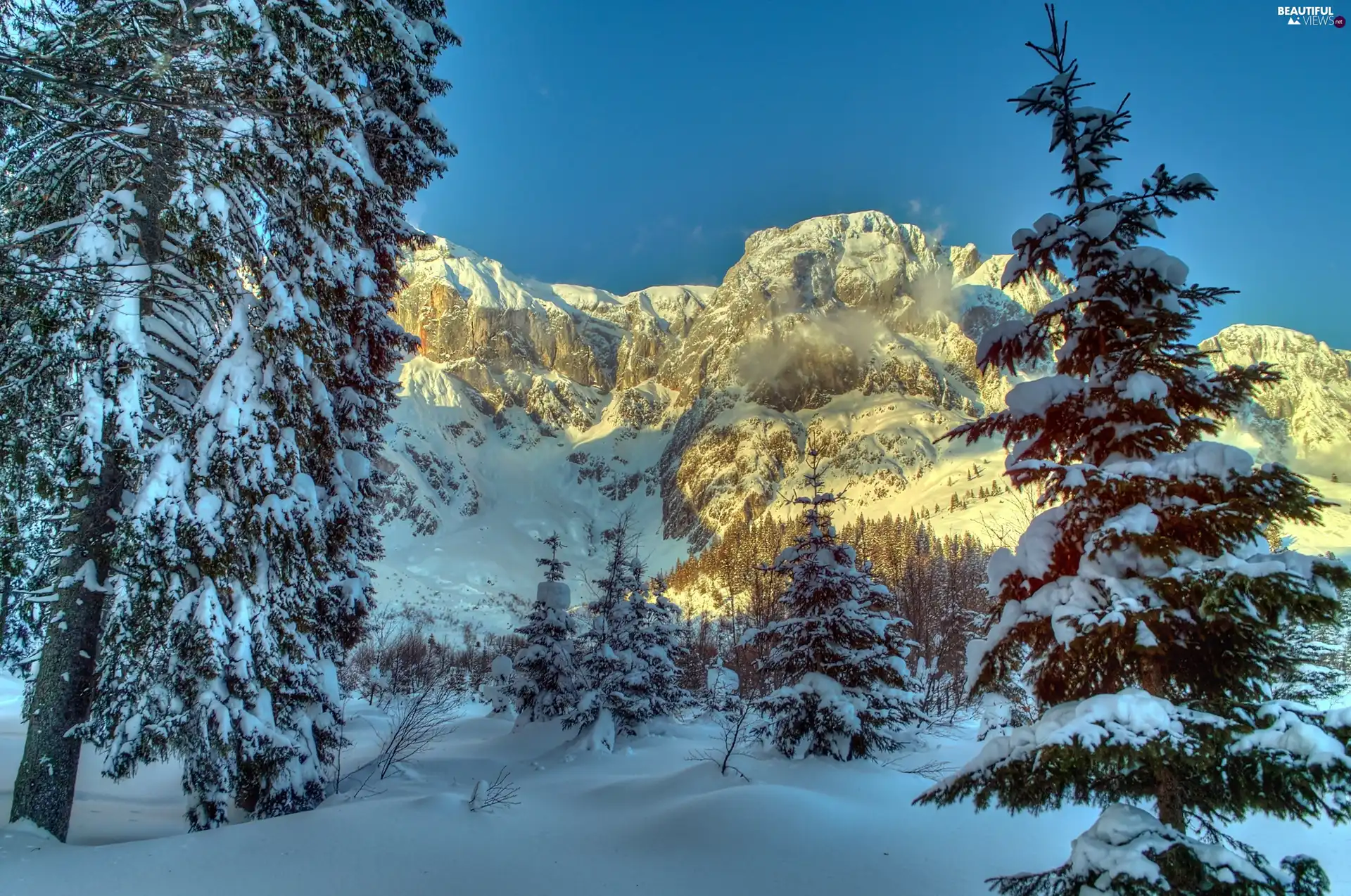 woods, winter, Mountains