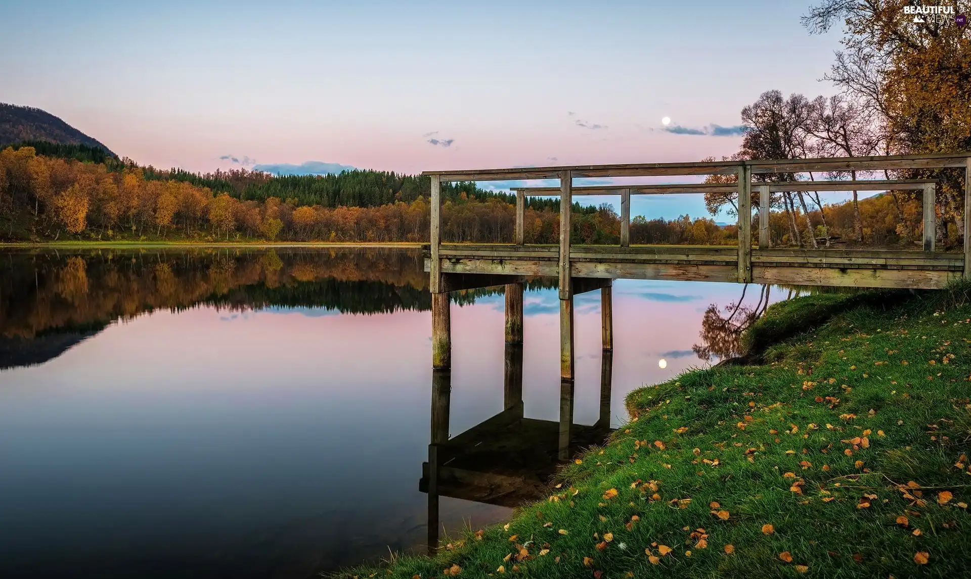 woods, River, pier