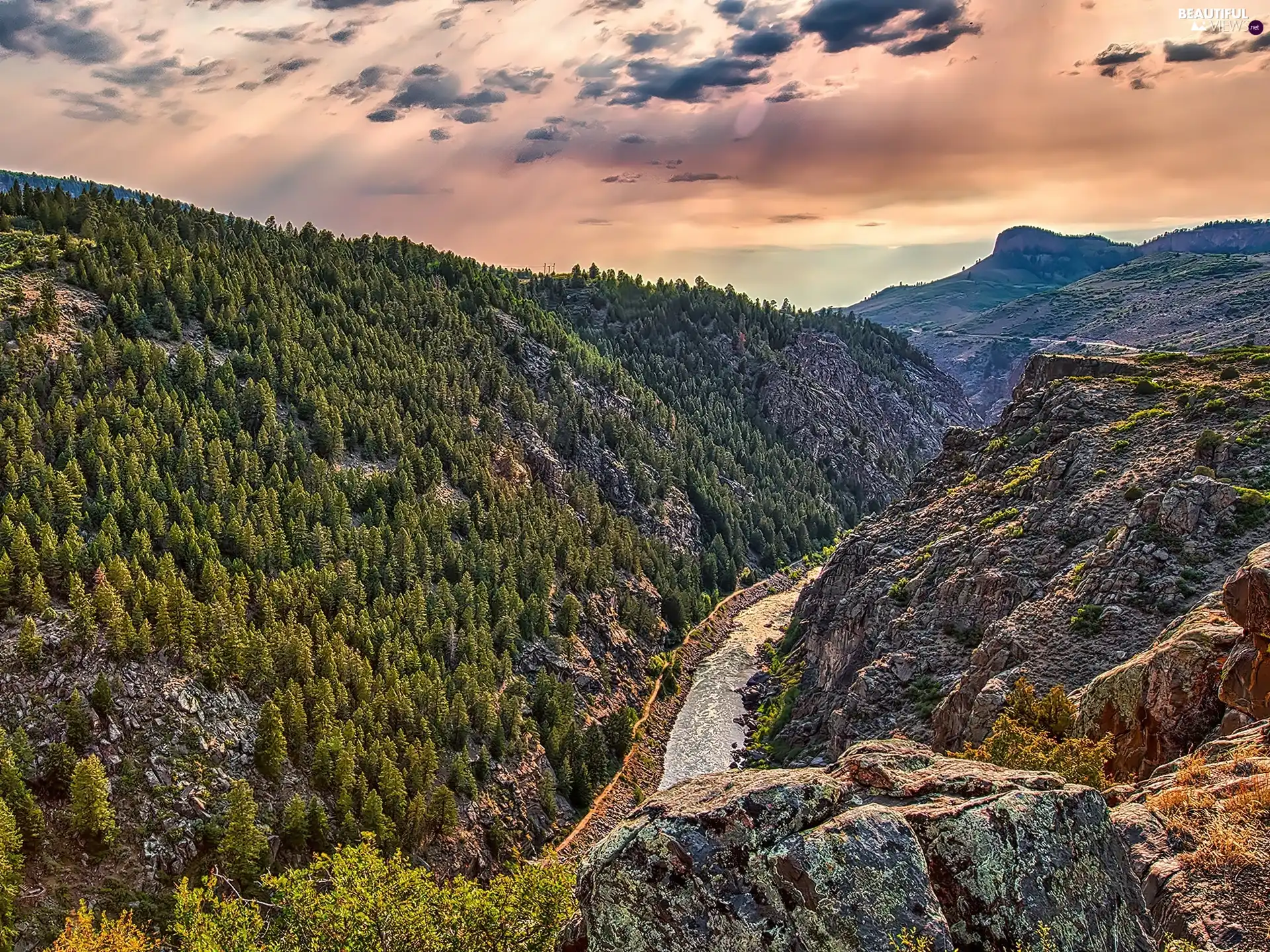 woods, Mountains, River