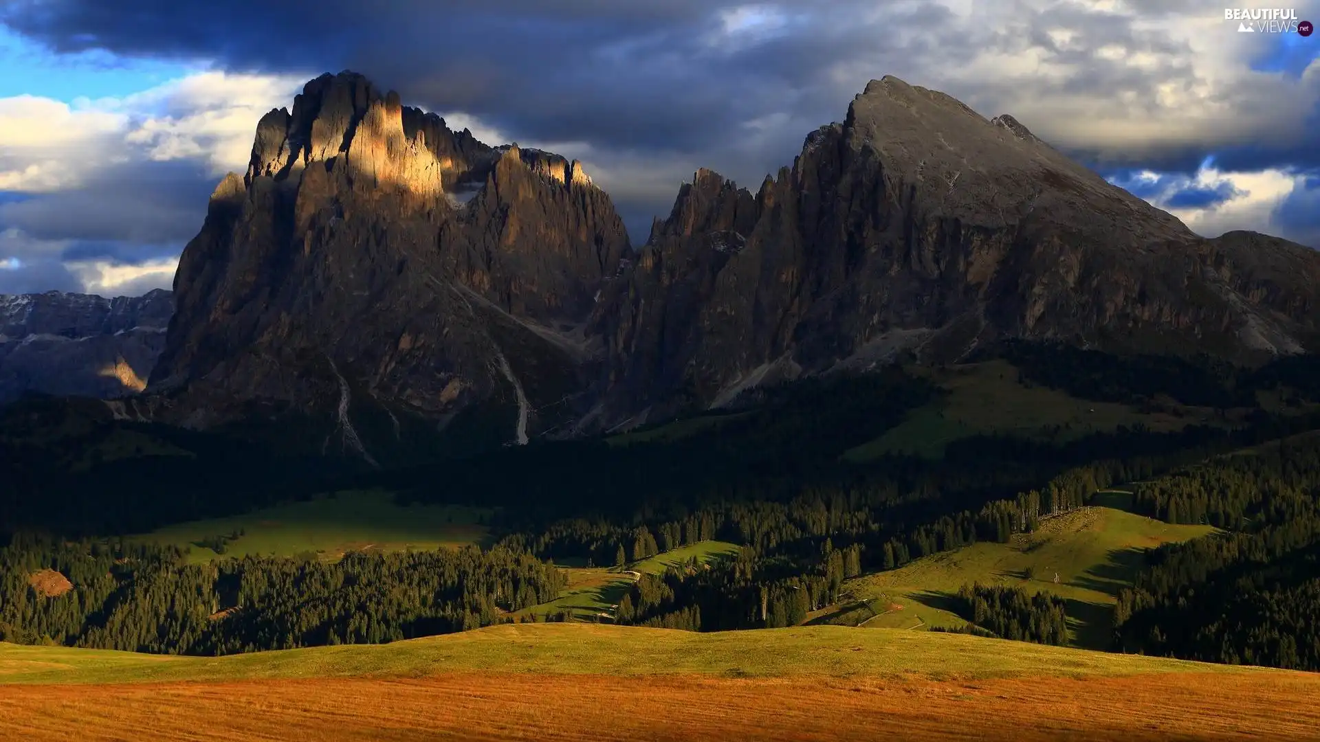 viewes, woods, Valley, trees, Mountains